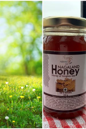 stingless-bee-honey